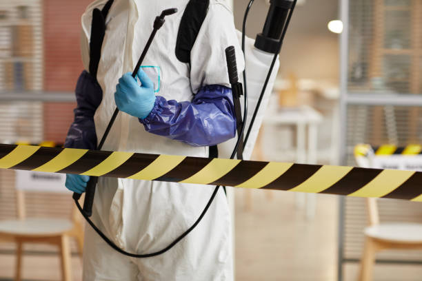 Professional Sewage Cleanup technician working in Green Valley, CA